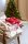 Uppsala karácsonyi polár takaró 130 x 160 cm