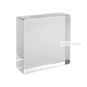Daytona üvegtömb, trófea - 80×80×20 mm