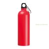 Ostrov rozsdamentes acél ivópalack, 750 ml