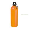 Ostrov rozsdamentes acél ivópalack, 750 ml