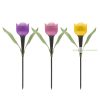 LED-es szolár tulipánlámpa